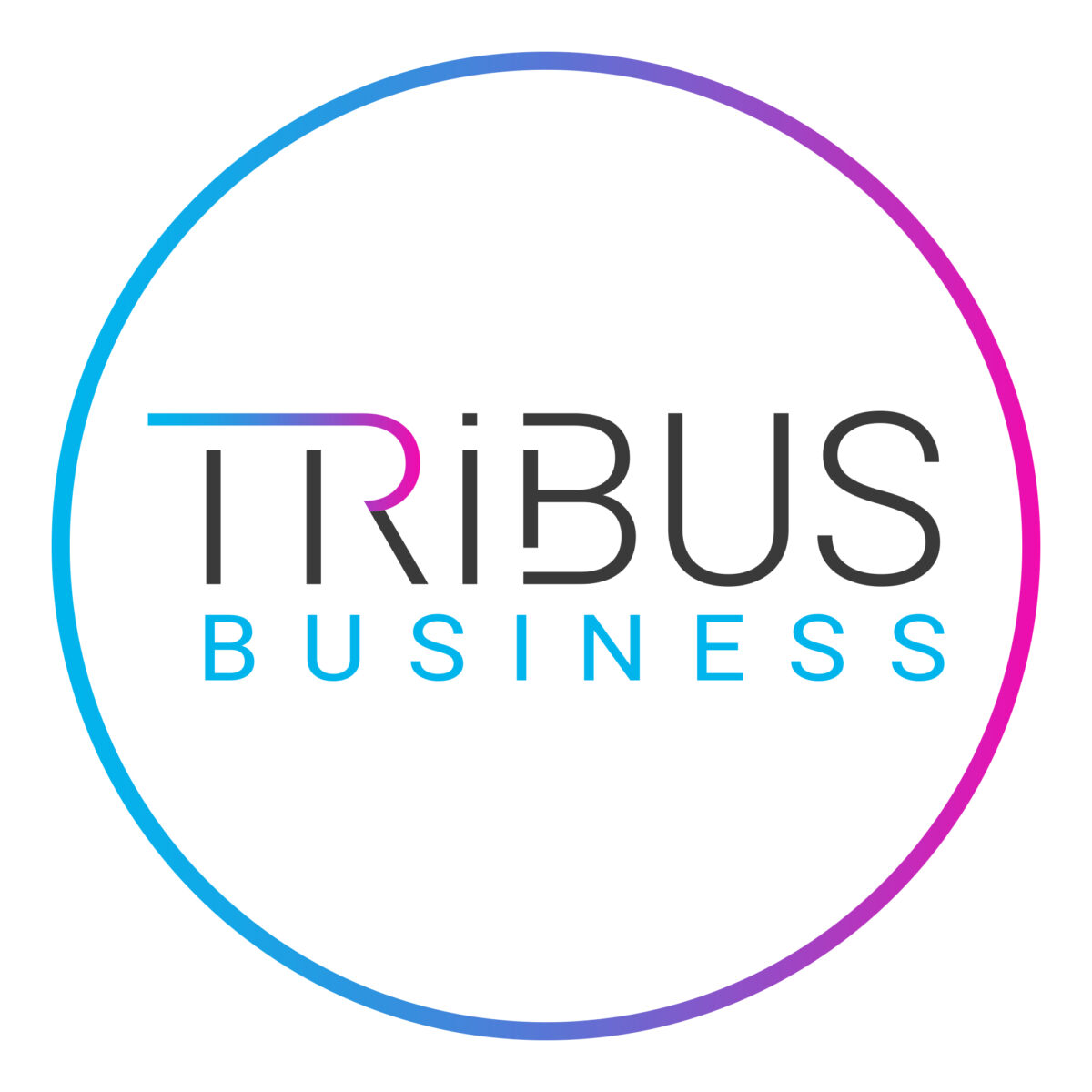 Tribus Business AG